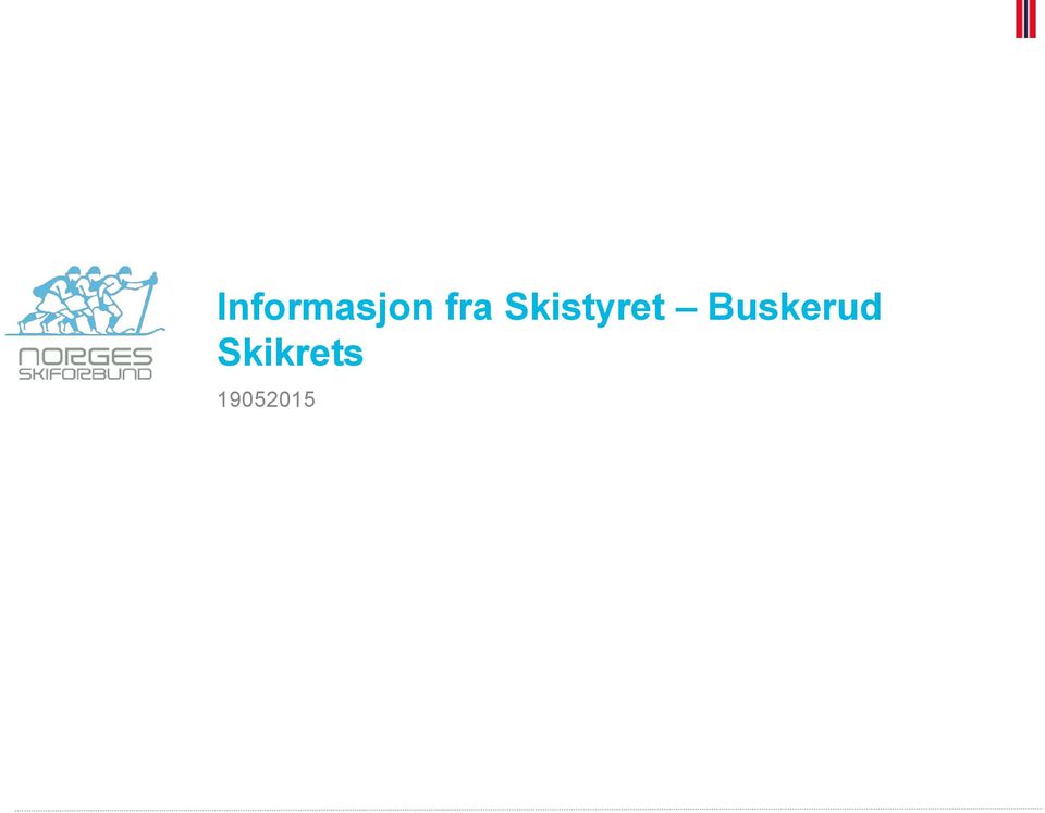 Skistyret