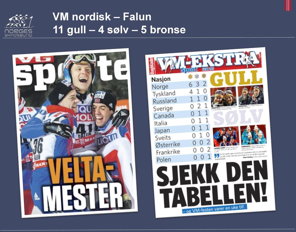 Falun 11