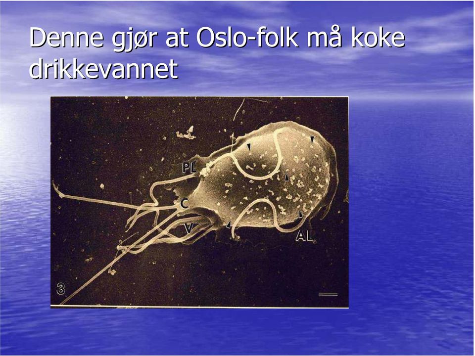 Oslo-folk