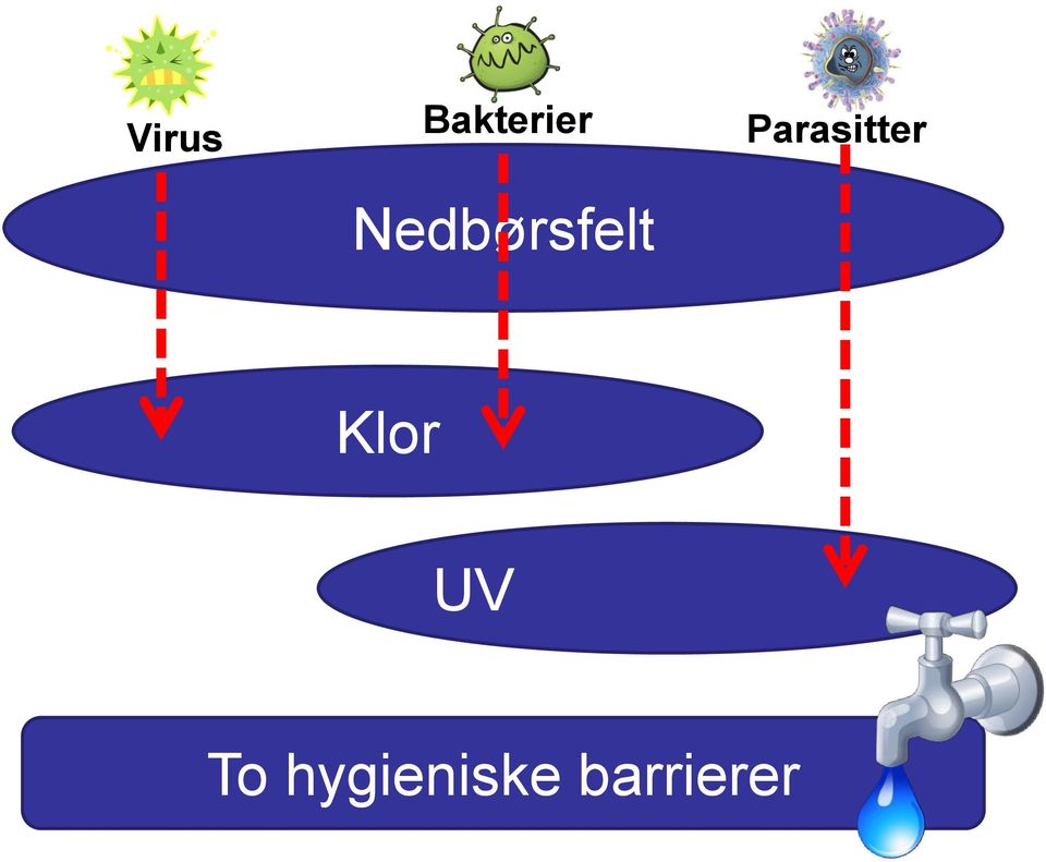 Parasitter Klor