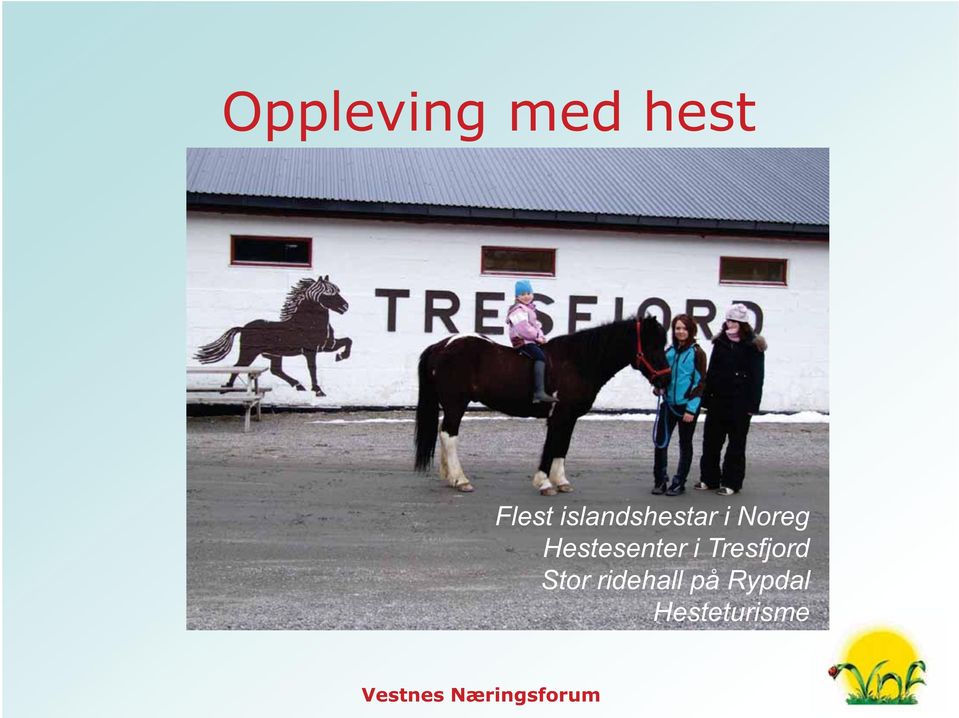 Hestesenter i Tresfjord Stor
