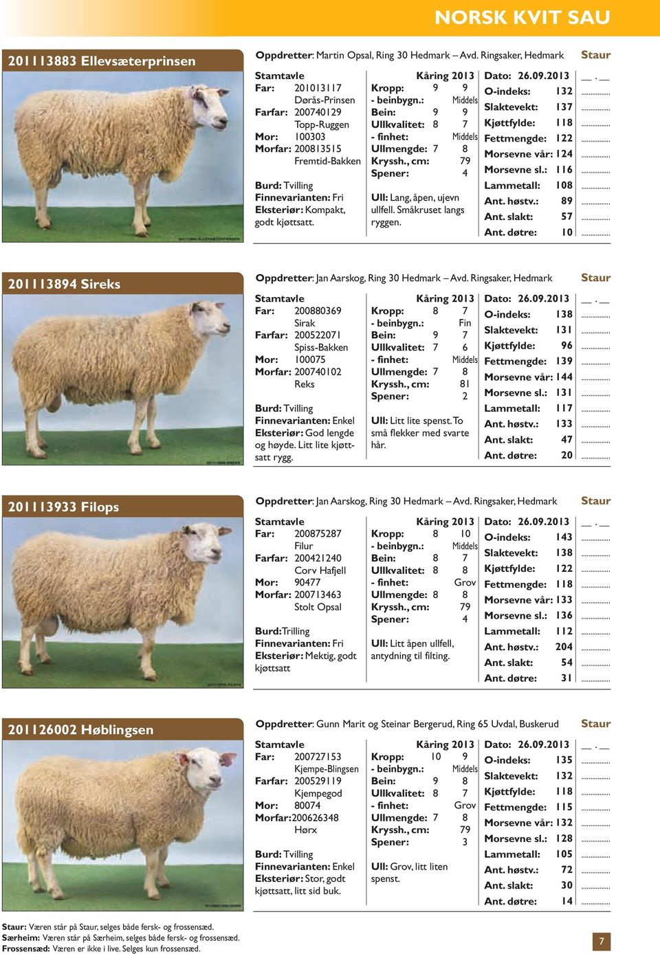 Kåring 013 Ull: Lang, åpen, ujevn ullfell. Småkruset langs ryggen. Dato: 6.0.013 O-indeks: 13 Slaktevekt: 13 Kjøttfylde: 11 Fettmengde: 1 Morsevne vår: 1 Morsevne sl.: 116 Lammetall: 10 Ant. høstv.