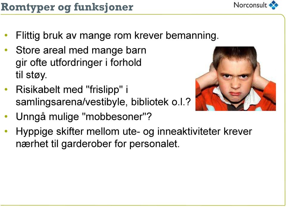 Risikabelt med "frislipp" i samlingsarena/vestibyle, bibliotek o.l.? Unngå mulige "mobbesoner"?