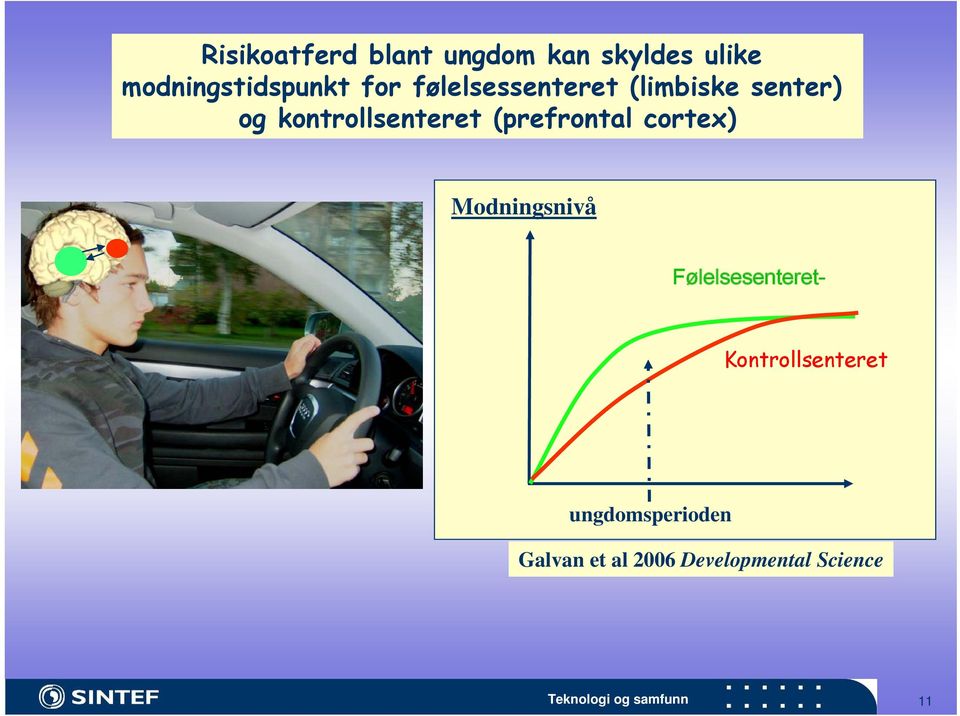 cortex) Modningsnivå Følelsesenteret- Kontrollsenteret