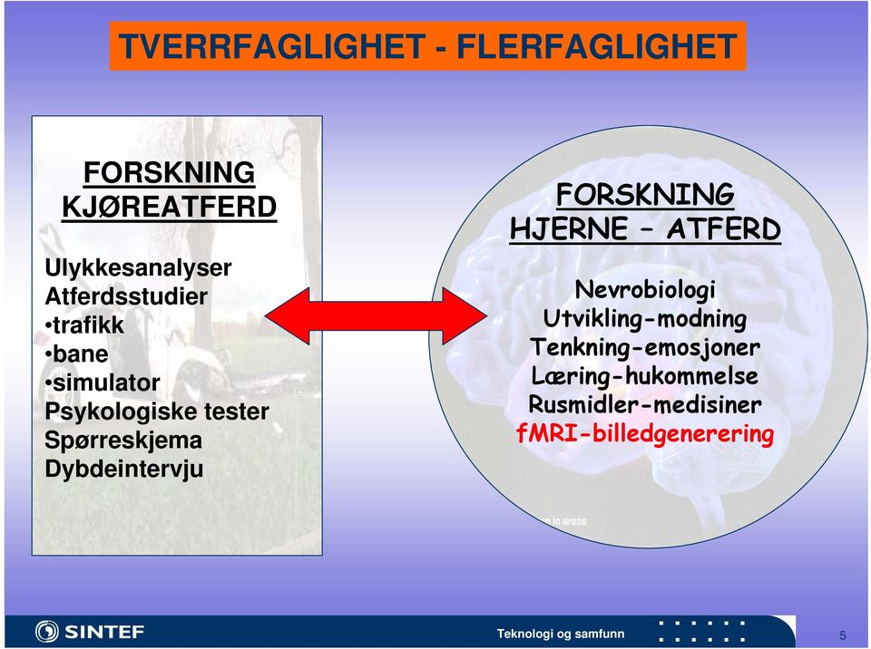 Dybdeintervju FORSKNING HJERNE ATFERD Nevrobiologi Utvikling-modning