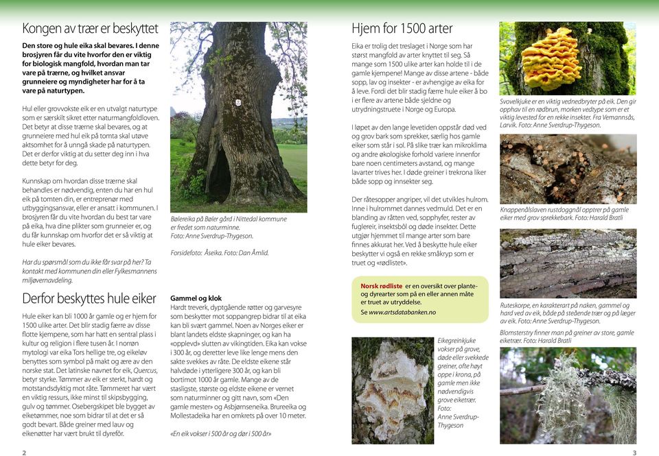 Hul eller grovvokste eik er en utvalgt naturtype som er særskilt sikret etter naturmangfoldloven.