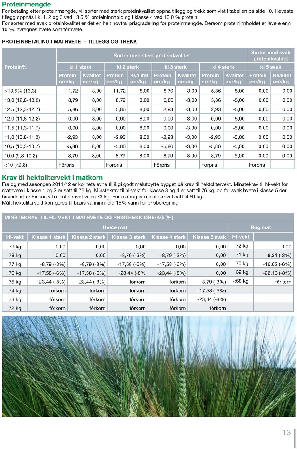 Dersom proteininnholdet er lavere enn 10 %, avregnes hvete som fôrhvete.