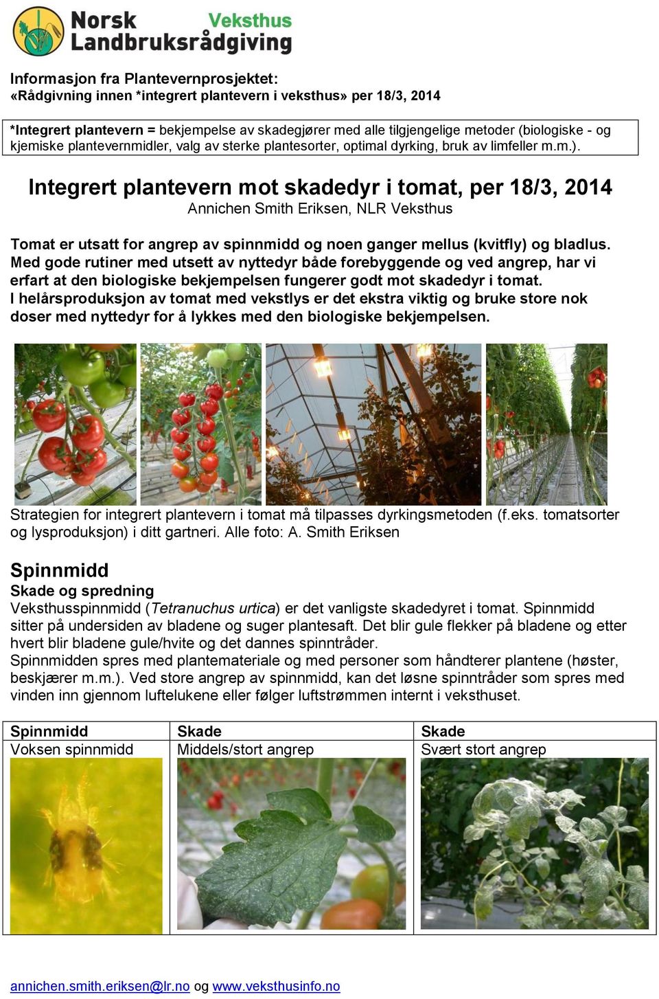 Integrert plantevern mot skadedyr i tomat, per 18/3, 2014 Annichen Smith Eriksen, NLR Veksthus Tomat er utsatt for angrep av spinnmidd og noen ganger mellus (kvitfly) og bladlus.
