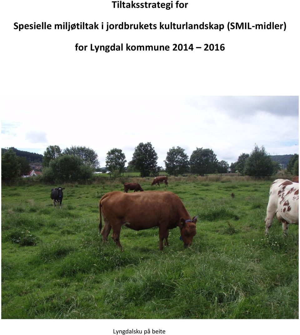 kulturlandskap (SMIL-midler) for