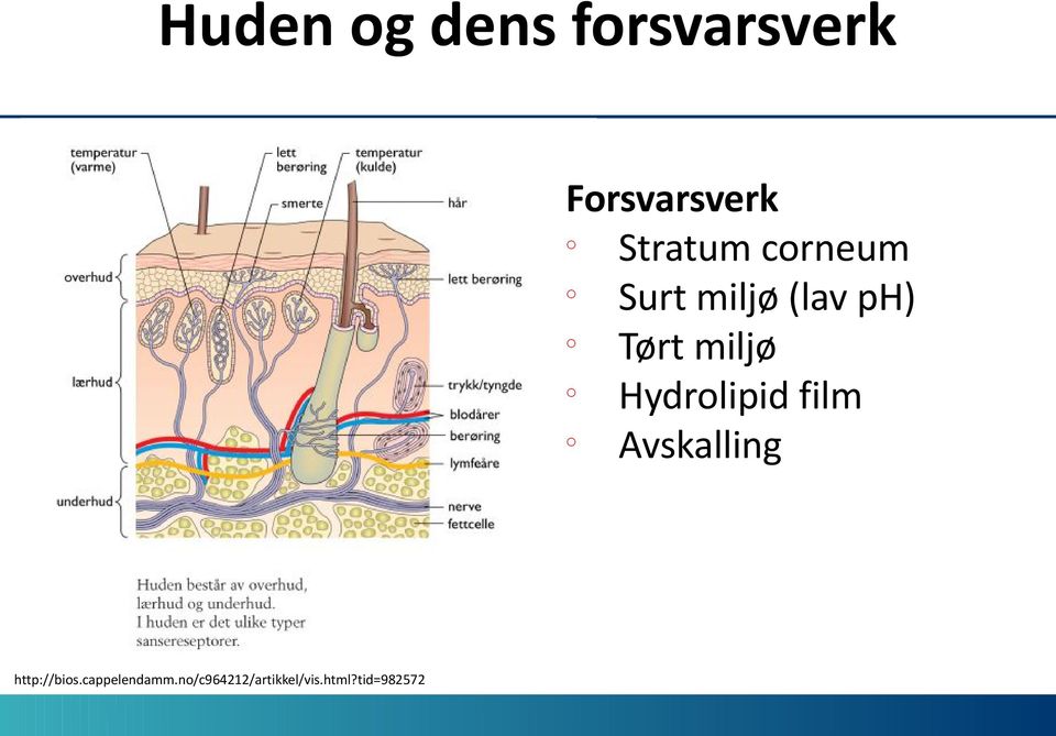 miljø Hydrlipid film Avskalling http://bis.