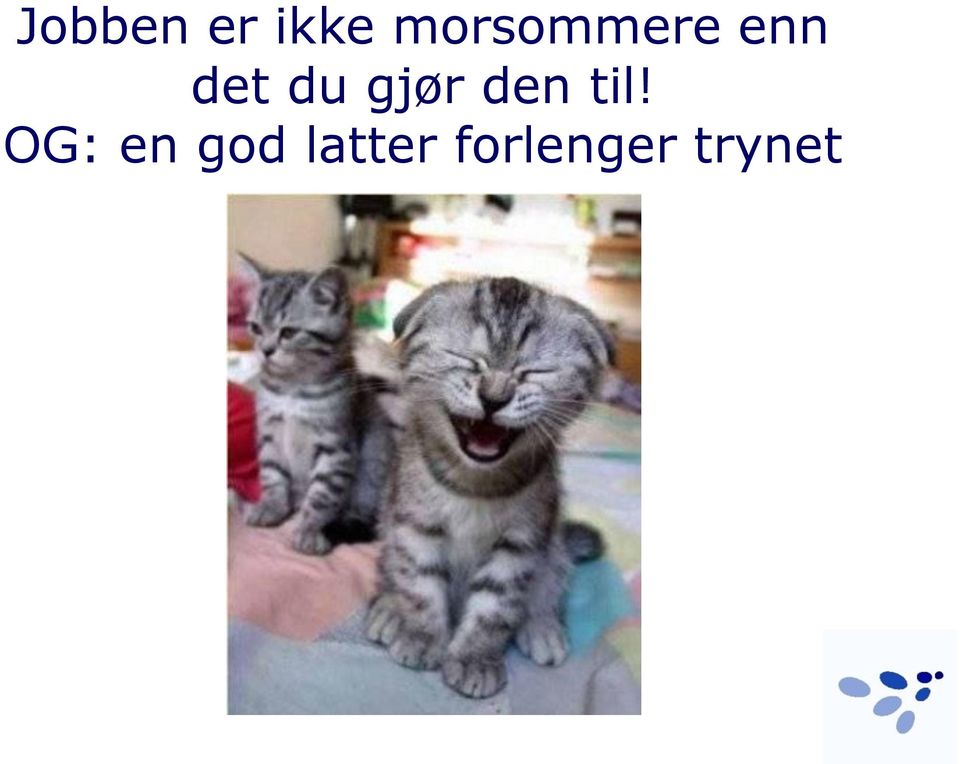 gjør den til!