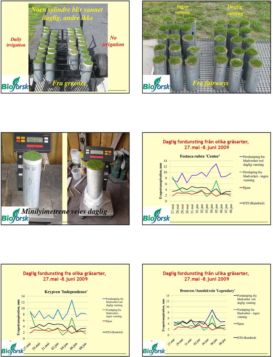 jun Fordamping fra bladverket ved daglig vanning Fordaping fra bladverket - ingen vanning Epan ET (Rainbird) Daglig fordunsting fra olika gräsarter, 27.mai -8.