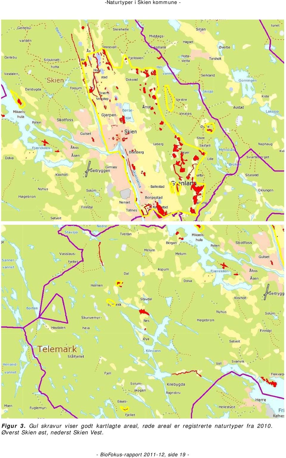 røde areal er registrerte naturtyper fra