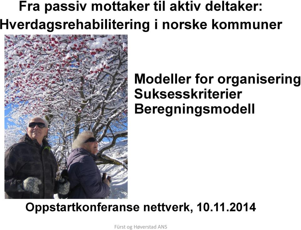 Modeller for organisering Suksesskriterier