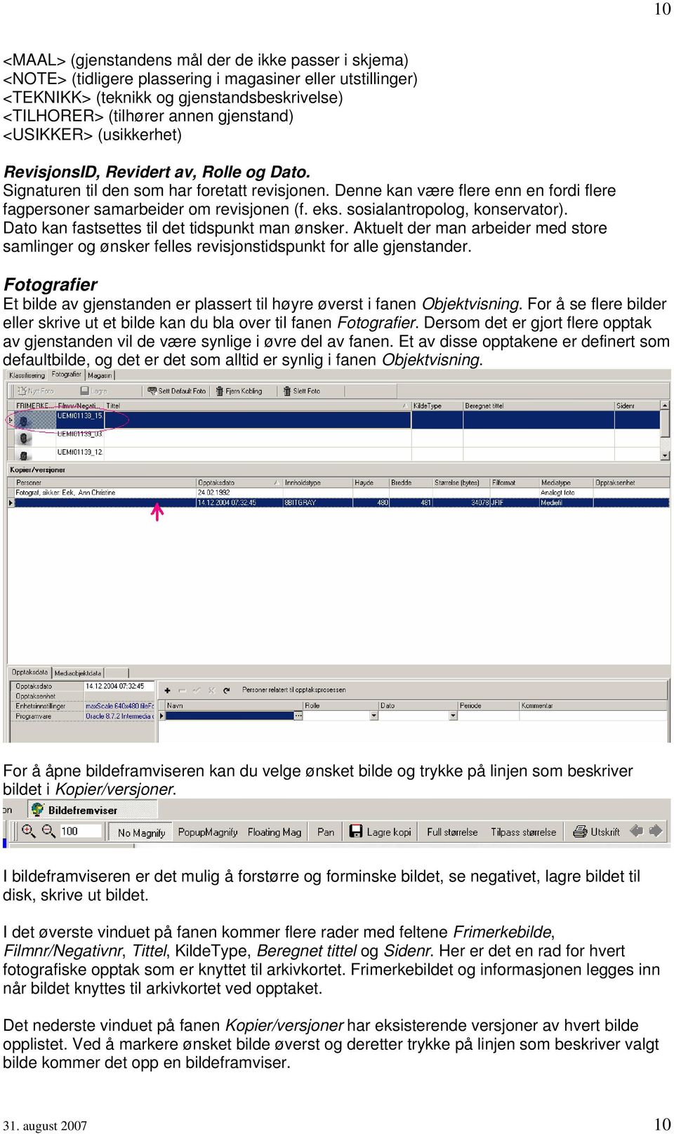 Denne kan være flere enn en fordi flere fagpersoner samarbeider om revisjonen (f. eks. sosialantropolog, konservator). Dato kan fastsettes til det tidspunkt man ønsker.