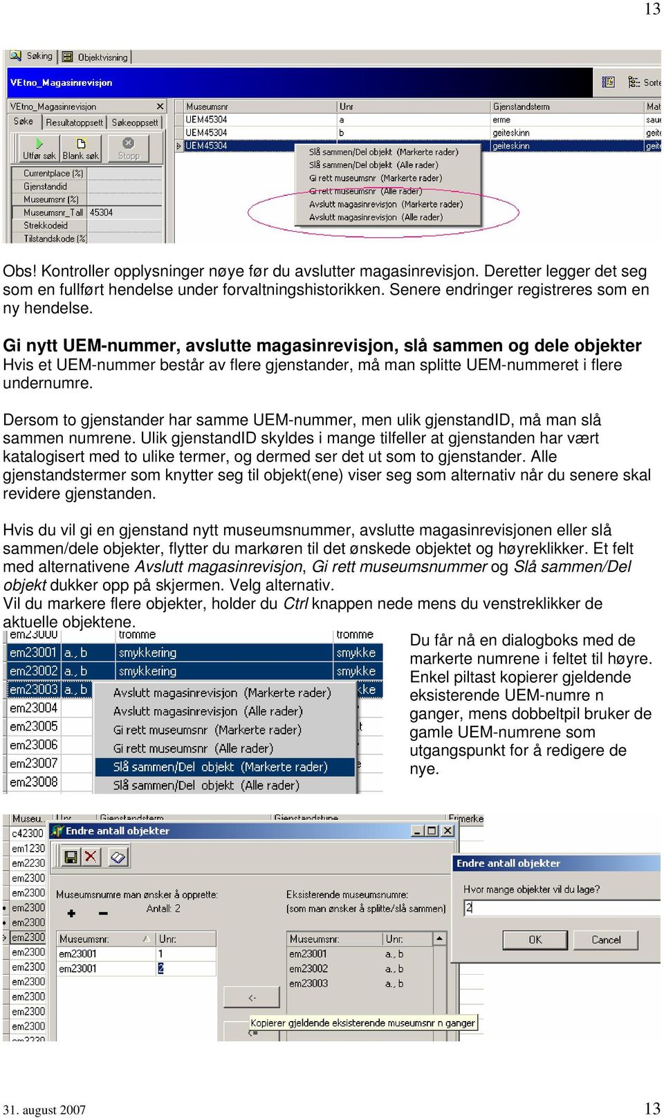 Dersom to gjenstander har samme UEM-nummer, men ulik gjenstandid, må man slå sammen numrene.