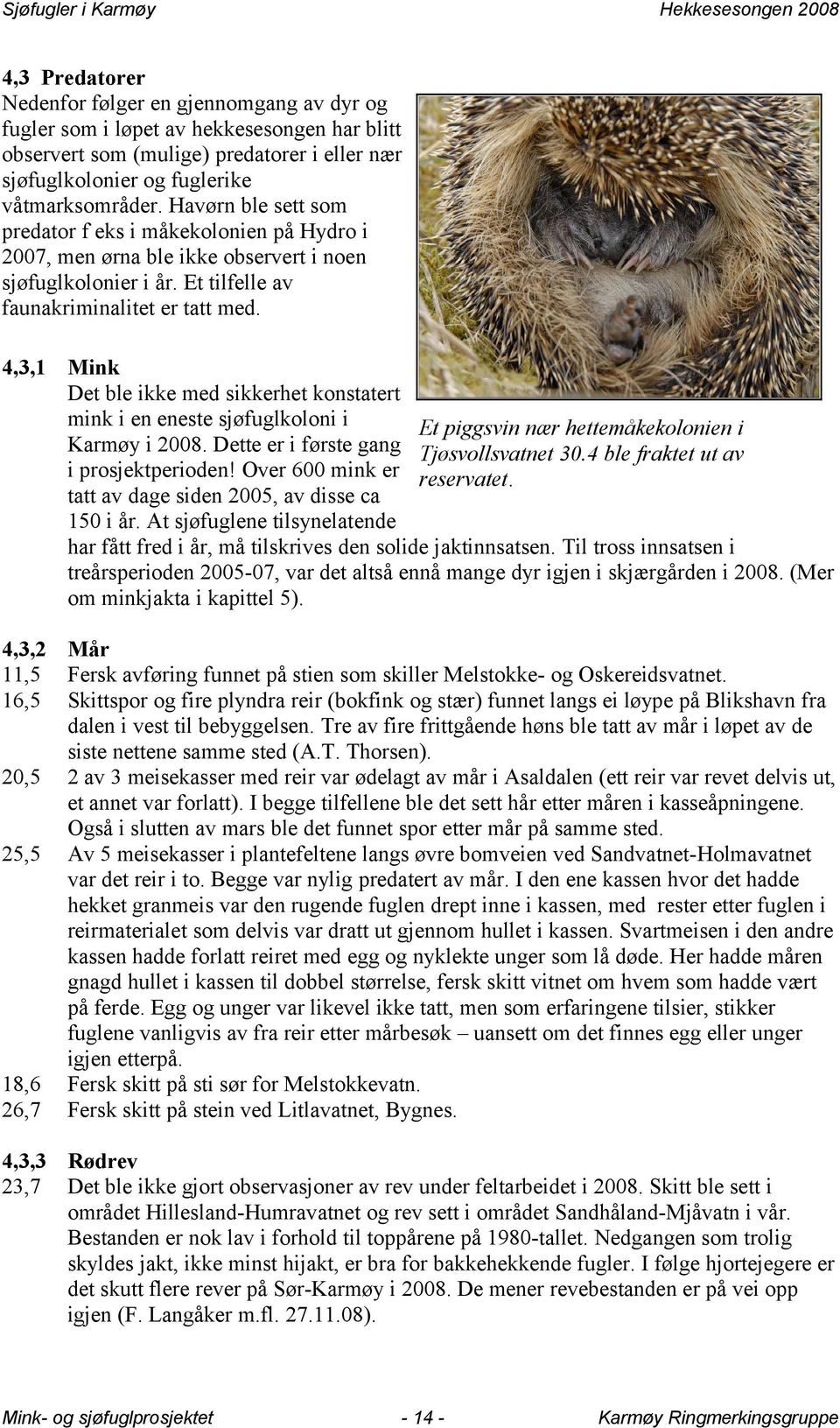 4,3,1 Mink Det ble ikke med sikkerhet konstatert mink i en eneste sjøfuglkoloni i Et piggsvin nær hettemåkekolonien i Karmøy i 28. Dette er i første gang Tjøsvollsvatnet 3.