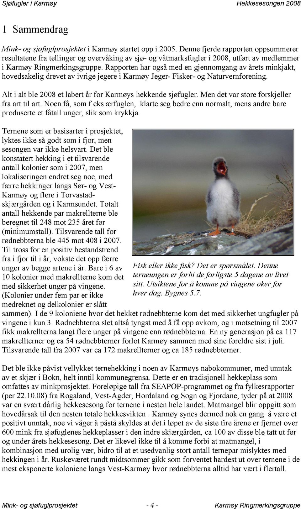 Alt i alt ble 28 et labert år for Karmøys hekkende sjøfugler. Men det var store forskjeller fra art til art.