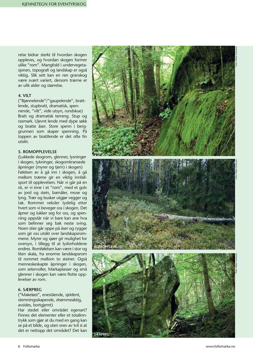 VILT ( Bjønnelende / gaupelende, brattlende, stupbratt, dramatisk, spennende, vilt, vide utsyn, rundskue) Bratt og dramatisk terreng. Stup og rasmark. Ujevnt lende med dype søkk og bratte åser.