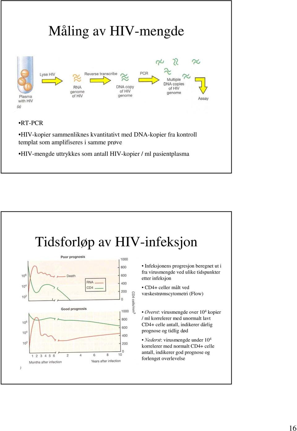 infeksjon CD4+ celler målt ved væskestrømscytometri (Flow) Øverst: virusmengde over 10 4 kopier / ml korrelerer med unormalt lavt CD4+ celle antall,