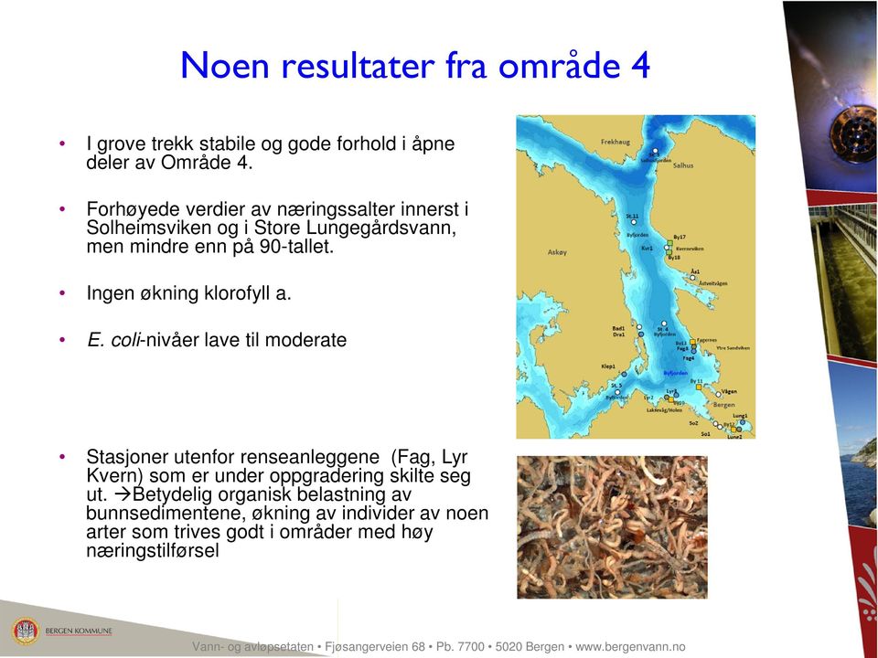 coli-nivåer lave til moderate Stasjoner utenfor renseanleggene (Fag, Lyr Kvern) som er under oppgradering skilte seg ut.