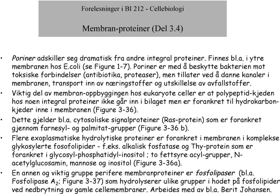 Viktig del av membran-oppbyggingen hos eukaryote celler er at polypeptid-kjeden hos noen integral proteiner ikke går inn i bilaget men er forankret til hydrokarbonkjeder inne i membranen (Figure