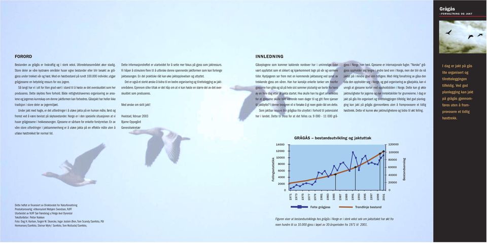 000 individer, utgjør grågjessene en betydelig ressurs for oss jegere. Så langt har vi i alt for liten grad vært i stand til å høste av det overskuddet som her produseres. Dette skyldes flere forhold.
