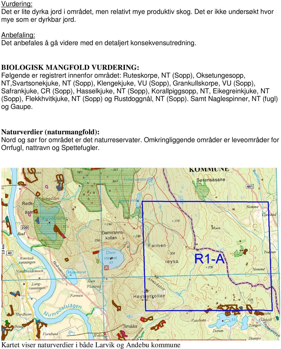 BIOLOGISK MANGFOLD VURDERING: Følgende er registrert innenfor området: Ruteskorpe, NT (Sopp), Oksetungesopp, NT,Svartsonekjuke, NT (Sopp), Klengekjuke, VU (Sopp), Grankullskorpe, VU (Sopp),