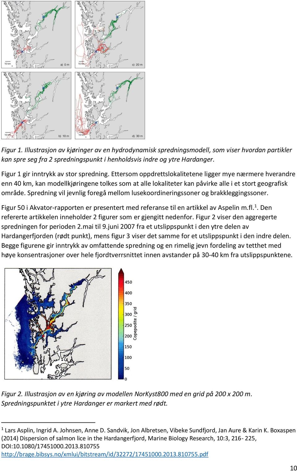 Ettersom oppdrettslokalitetene ligger mye nærmere hverandre enn 40 km, kan modellkjøringene tolkes som at alle lokaliteter kan påvirke alle i et stort geografisk område.