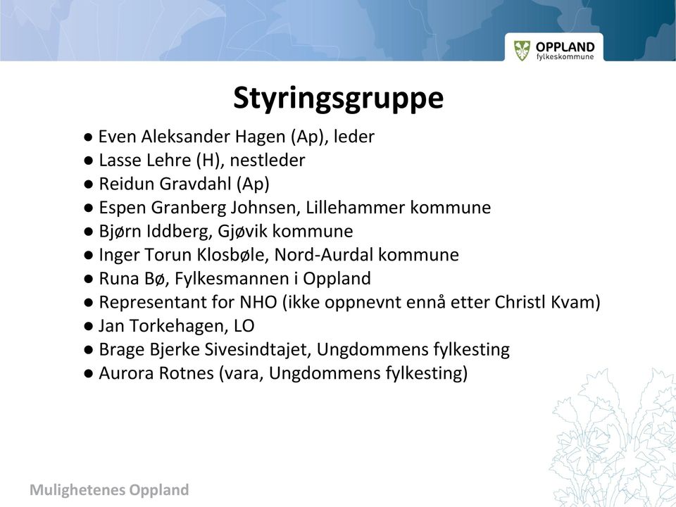 kommune Runa Bø, Fylkesmannen i Oppland Representant for NHO (ikke oppnevnt ennå etter Christl Kvam) Jan