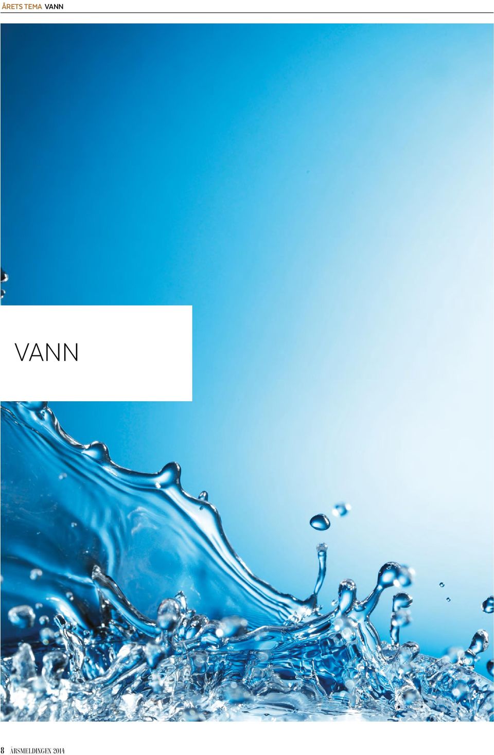 VANN 8