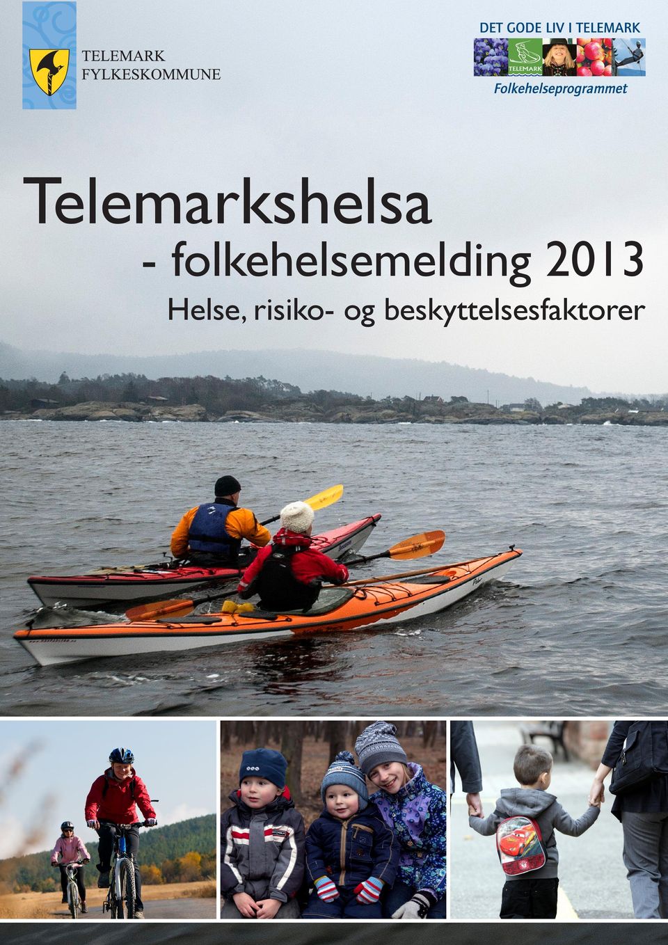 2013 Helse, risiko-