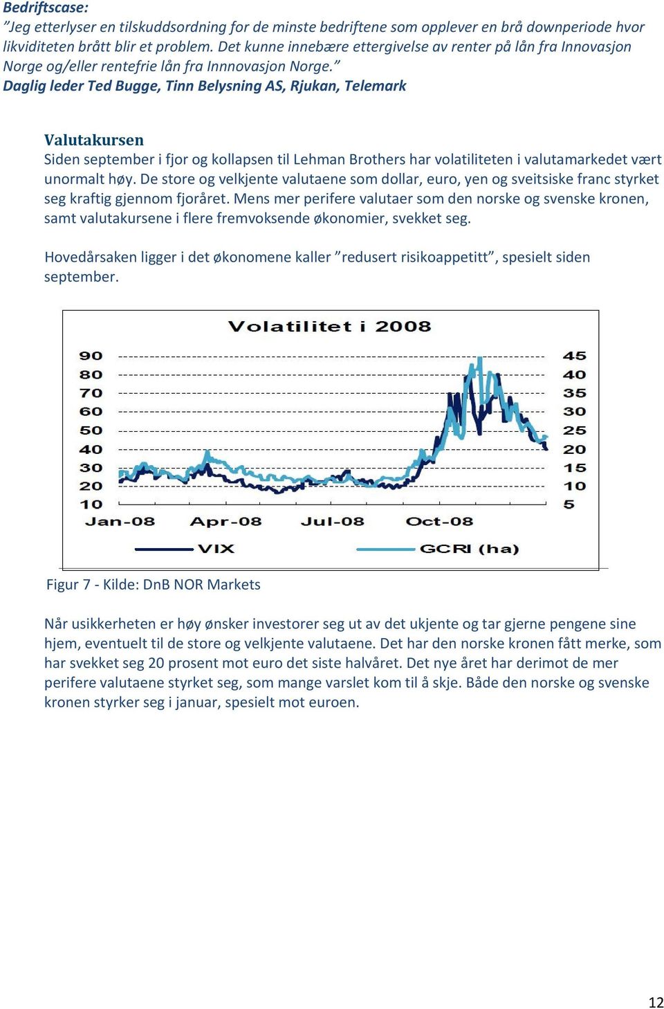 Daglig leder Ted Bugge, Tinn Belysning AS, Rjukan, Telemark Valutakursen Siden september i fjor og kollapsen til Lehman Brothers har volatiliteten i valutamarkedet vært unormalt høy.