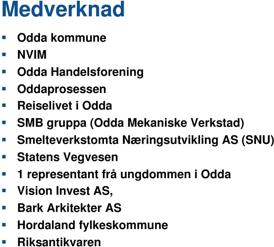 AS (SNU) Statens Vegvesen 1 representant frå ungdommen i Odda Vision Invest