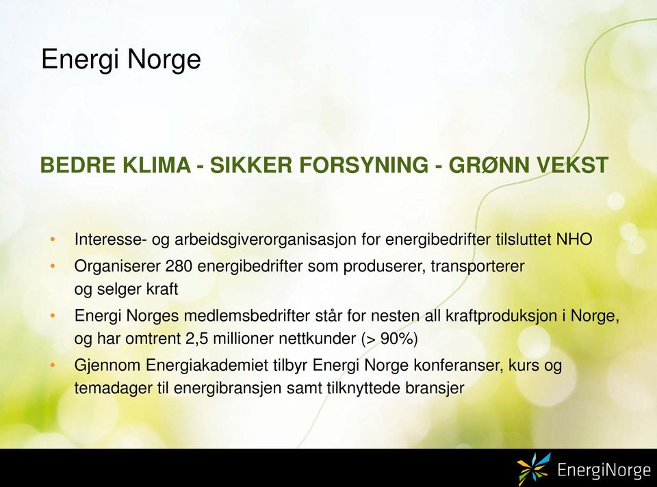Energi Norges medlemsbedrifter står for nesten all kraftproduksjon i Norge, og har omtrent 2,5 millioner