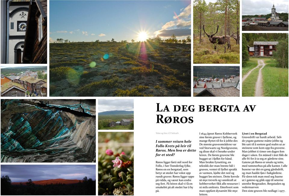 I 1644 åpnet Røros Kobberverk sine første gruver i fjellene, og mange flyttet til for å jobbe der. De største gruveområdene var ved Storwartz og Nordgruvene, og disse skal vi besøke under leiren.