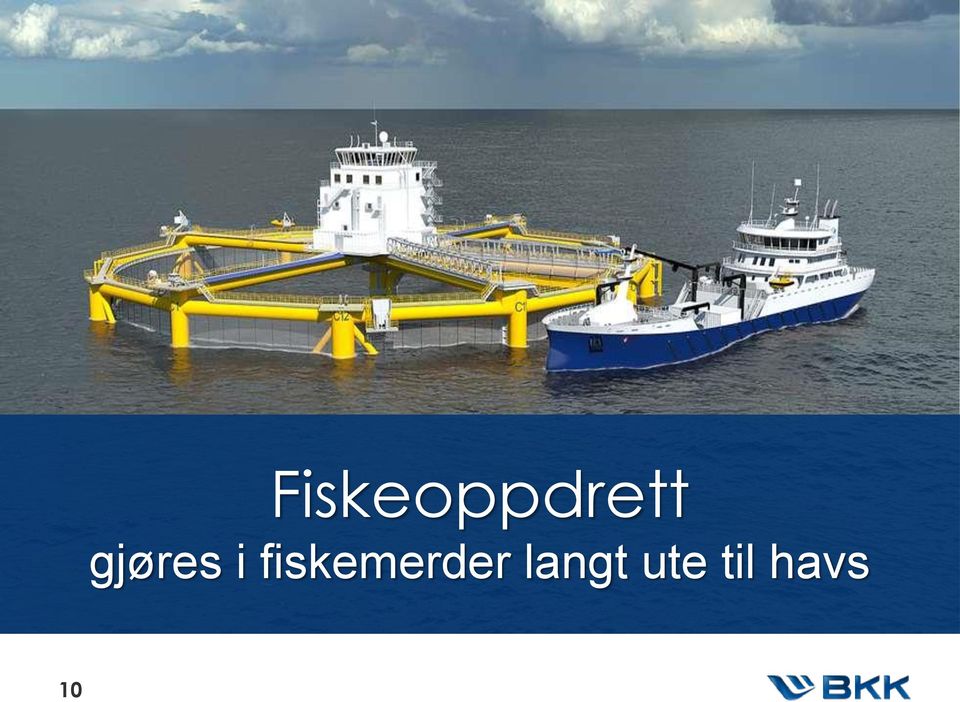 fiskemerder