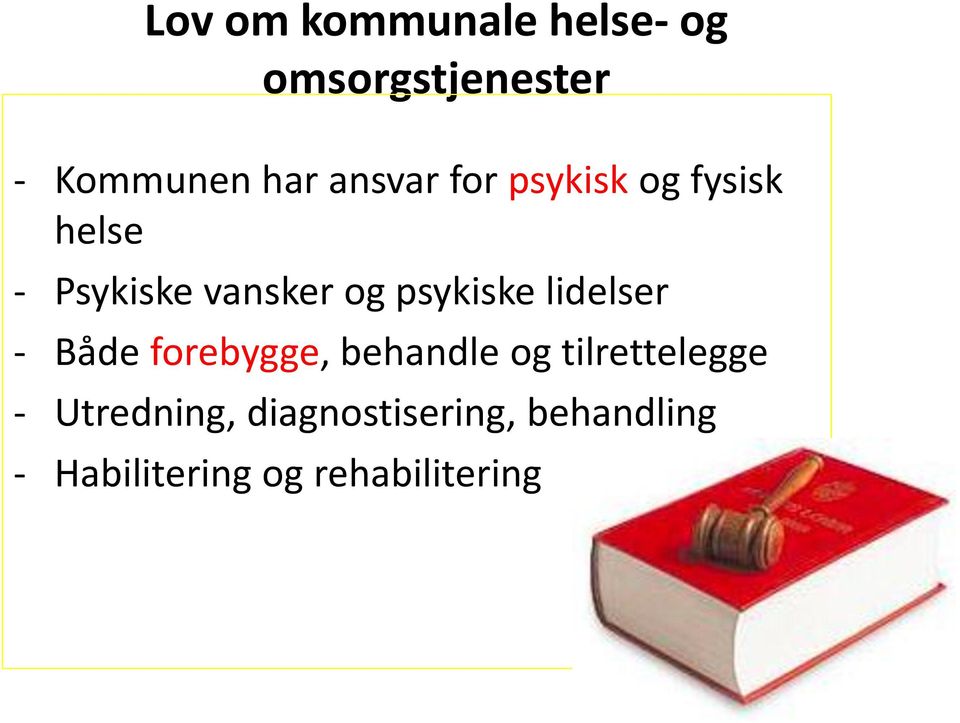 psykiske lidelser - Både forebygge, behandle og tilrettelegge