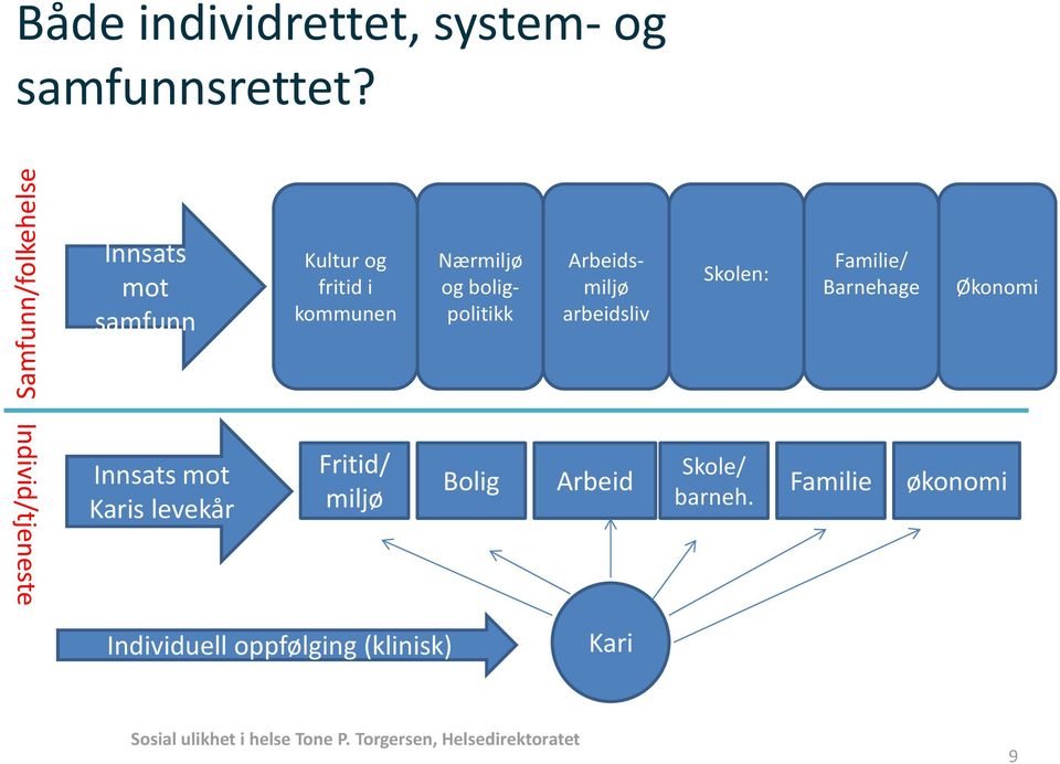 Skolen: Familie/ Barnehage Økonomi Individ/tjeneste Innsats mot Karis levekår Fritid/ miljø Skole/