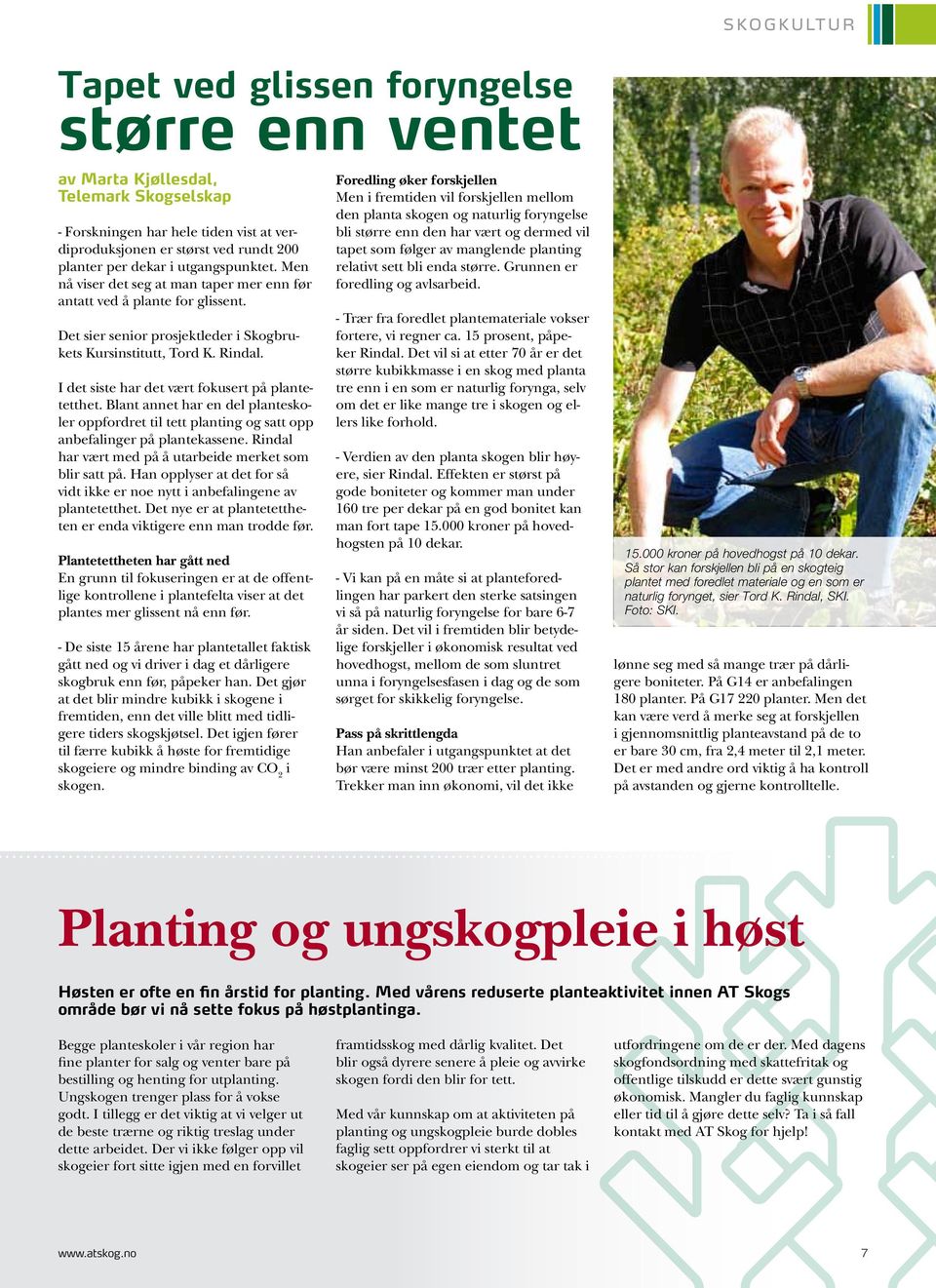 I det siste har det vært fokusert på plantetetthet. Blant annet har en del planteskoler oppfordret til tett planting og satt opp anbefalinger på plantekassene.