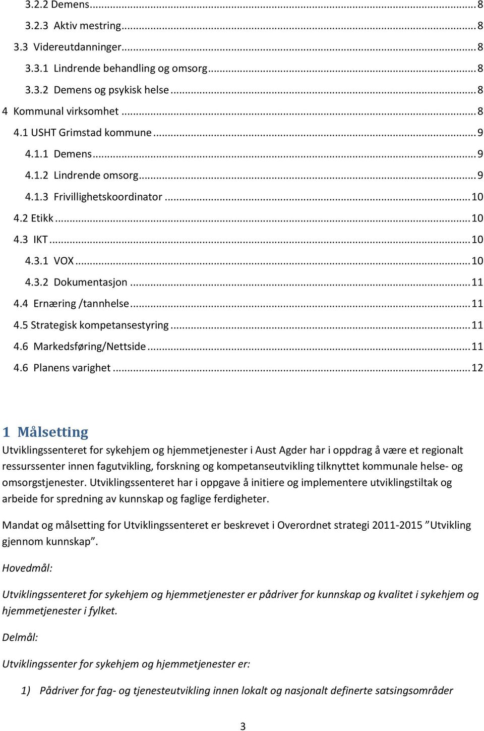 .. 11 4.6 Markedsføring/Nettside... 11 4.6 Planens varighet.