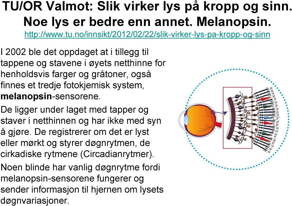 gråtoner, også finnes et tredje fotokjemisk system, melanopsin-sensorene. De ligger under laget med tapper og staver i netthinnen og har ikke med syn å gjøre.