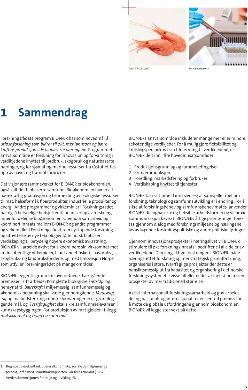 Programmets ansvarsområde er forskning for innovasjon og forvaltning i verdikjedene knyttet til jordbruk, skogbruk og naturbaserte næringer, og for sjømat og marine ressurser fra råstoffet tas opp av