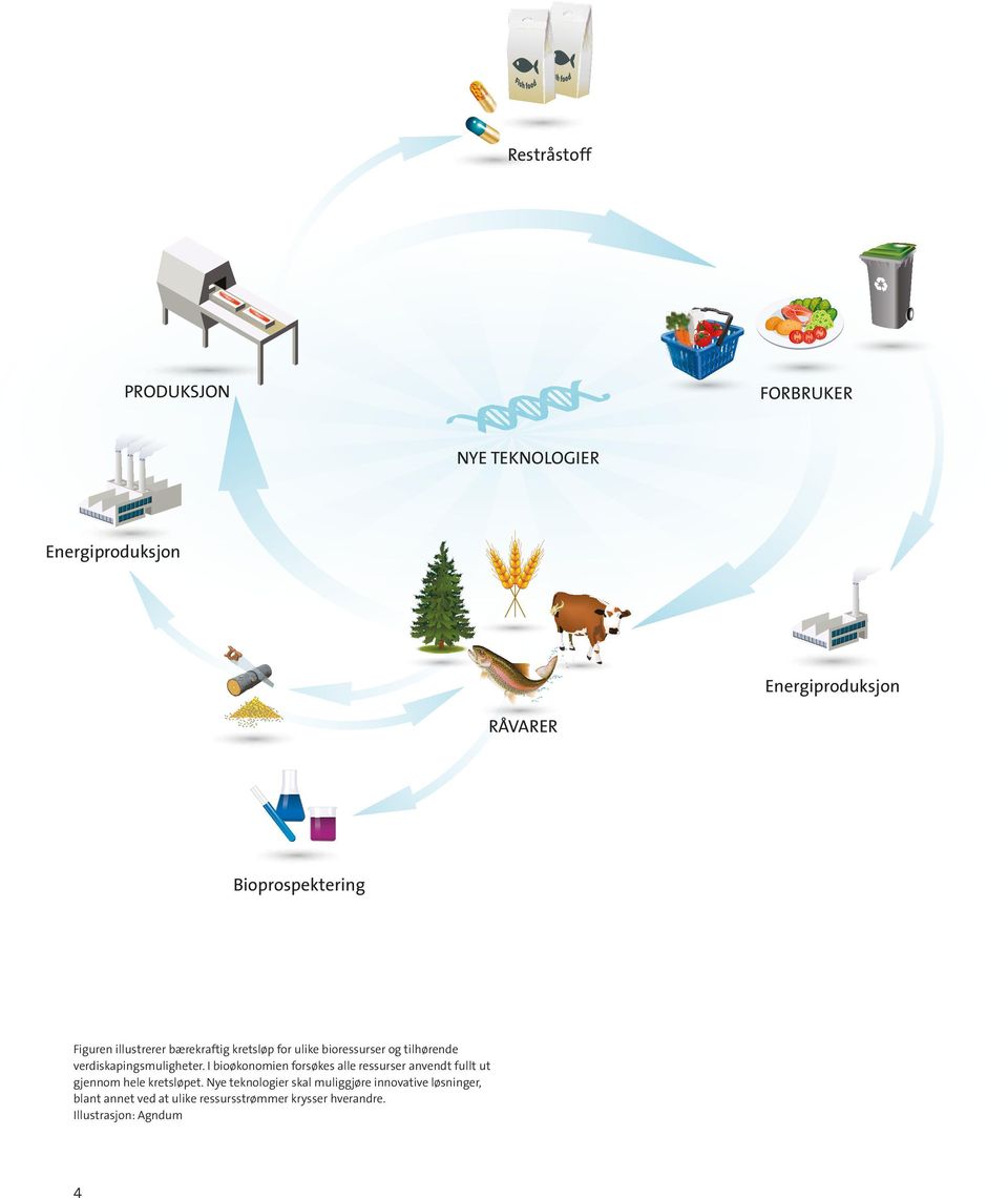 verdiskapingsmuligheter. I bioøkonomien forsøkes alle ressurser anvendt fullt ut gjennom hele kretsløpet.
