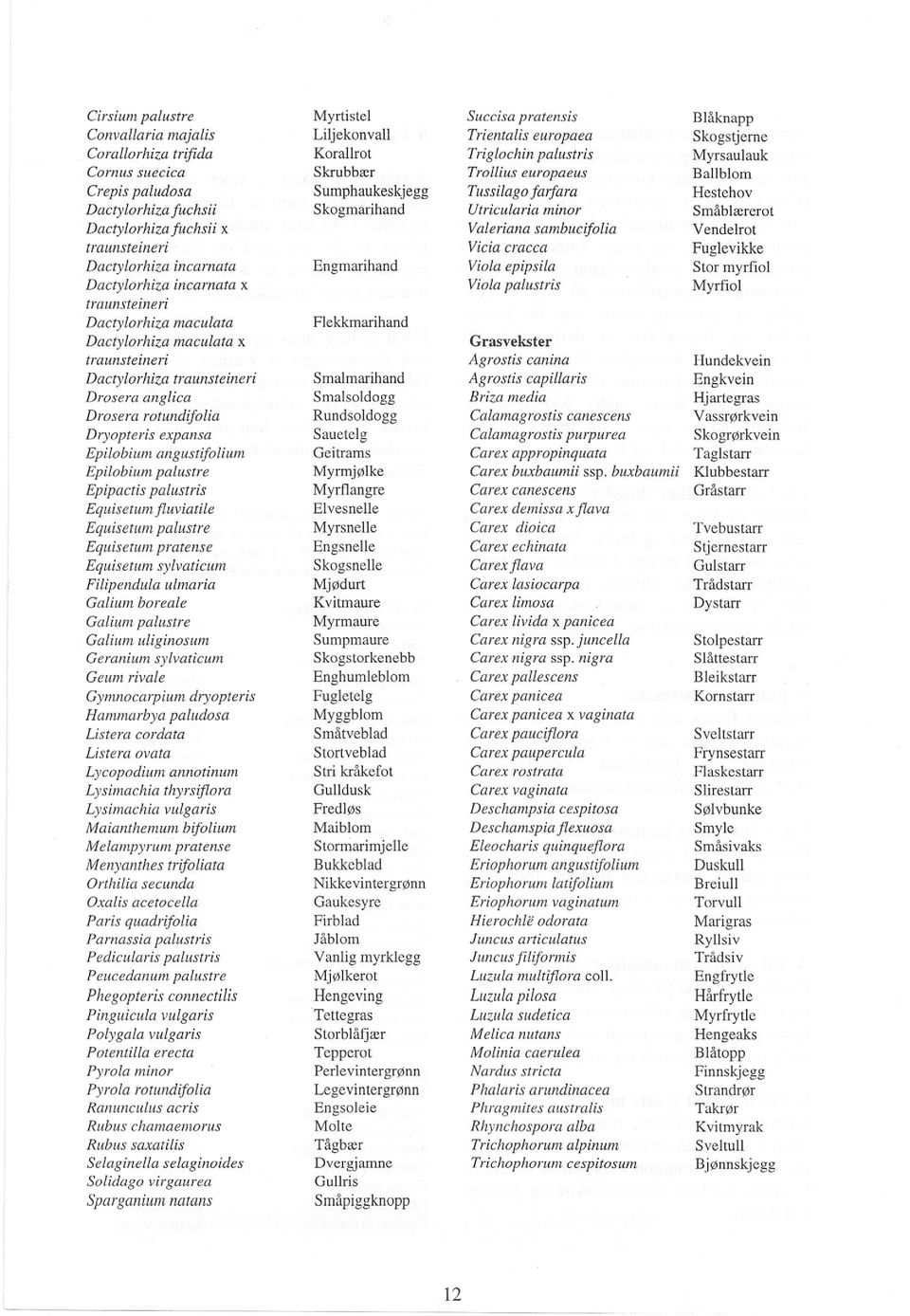 sambucifolia Vendelrot traunsteineri Vieia eracea Fuglevikke Dactylorhiza incarnata Engmarihand Viola epipsila Stor myrfiol Dactylorhiza incarnata x Viola palustris Myrfiol traunsteineri Dactylorhiza