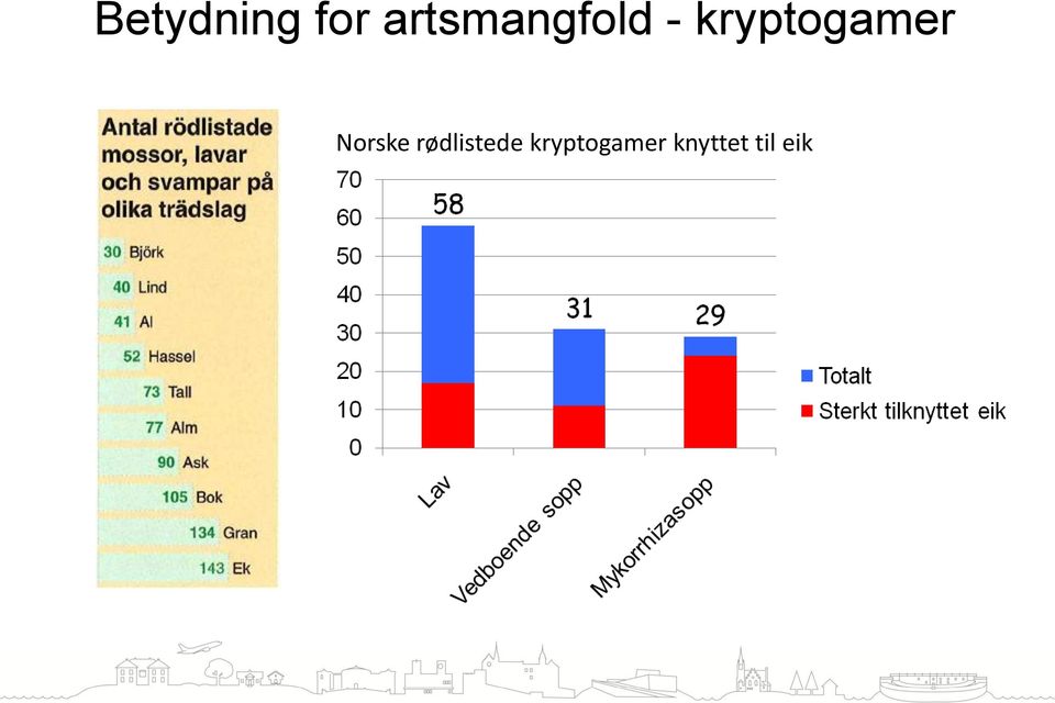 kryptogamer Norske