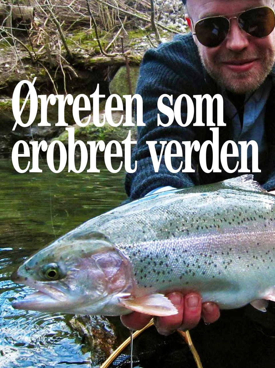 verden 38 Alt