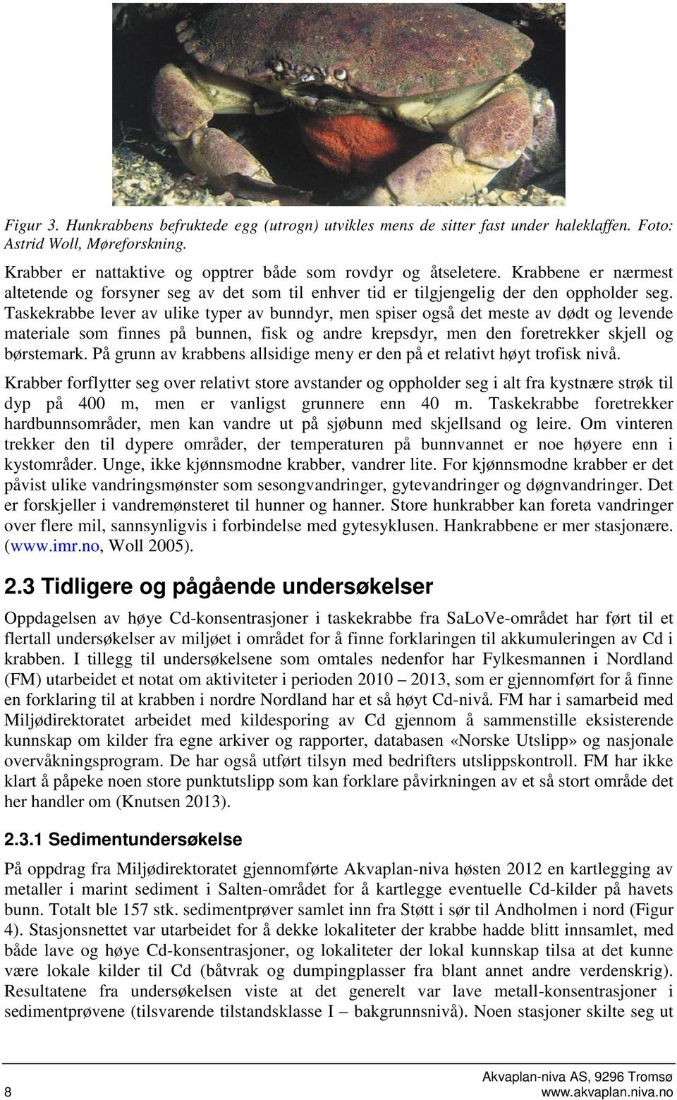 Taskekrabbe lever av ulike typer av bunndyr, men spiser også det meste av dødt og levende materiale som finnes på bunnen, fisk og andre krepsdyr, men den foretrekker skjell og børstemark.