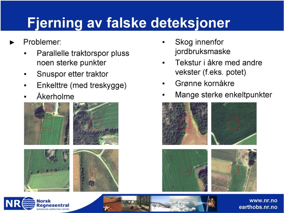 treskygge) Åkerholme Skog innenfor jordbruksmaske Tekstur i åkre