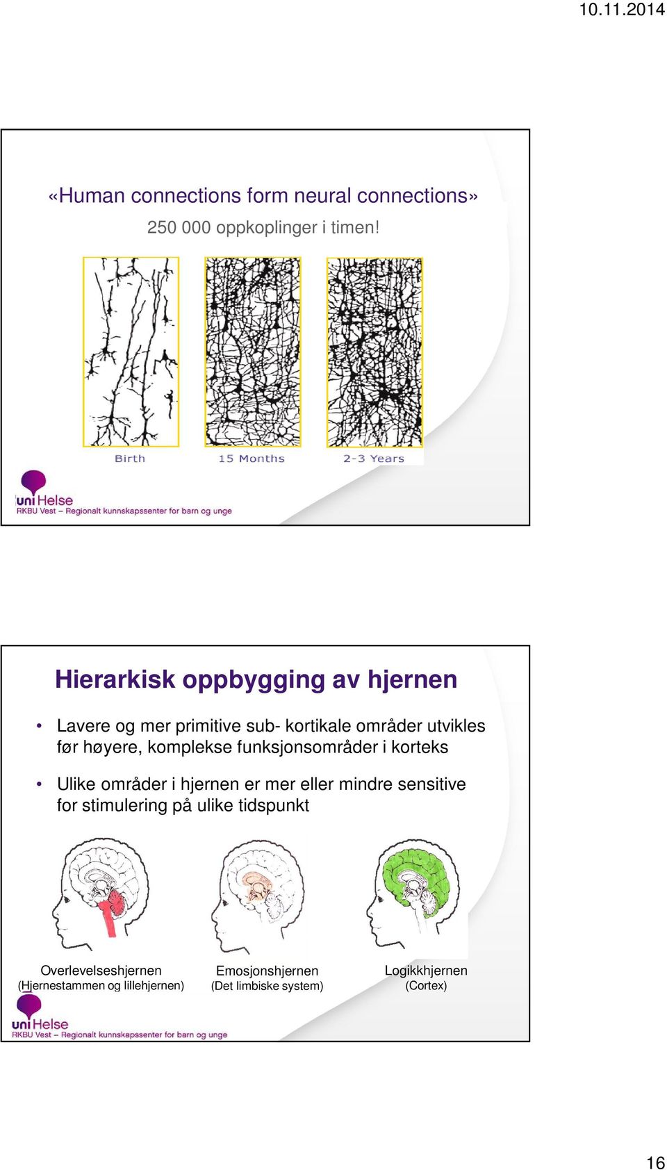 komplekse funksjonsområder i korteks Ulike områder i hjernen er mer eller mindre sensitive for